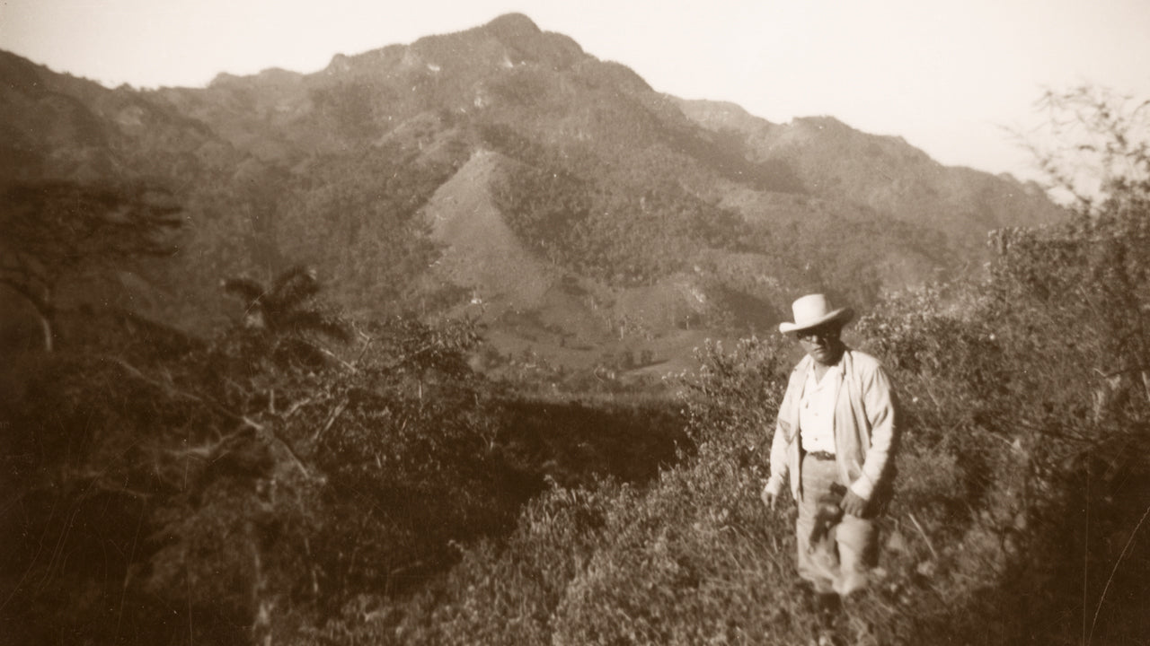 Francisco Gaviña in Coffee Fields