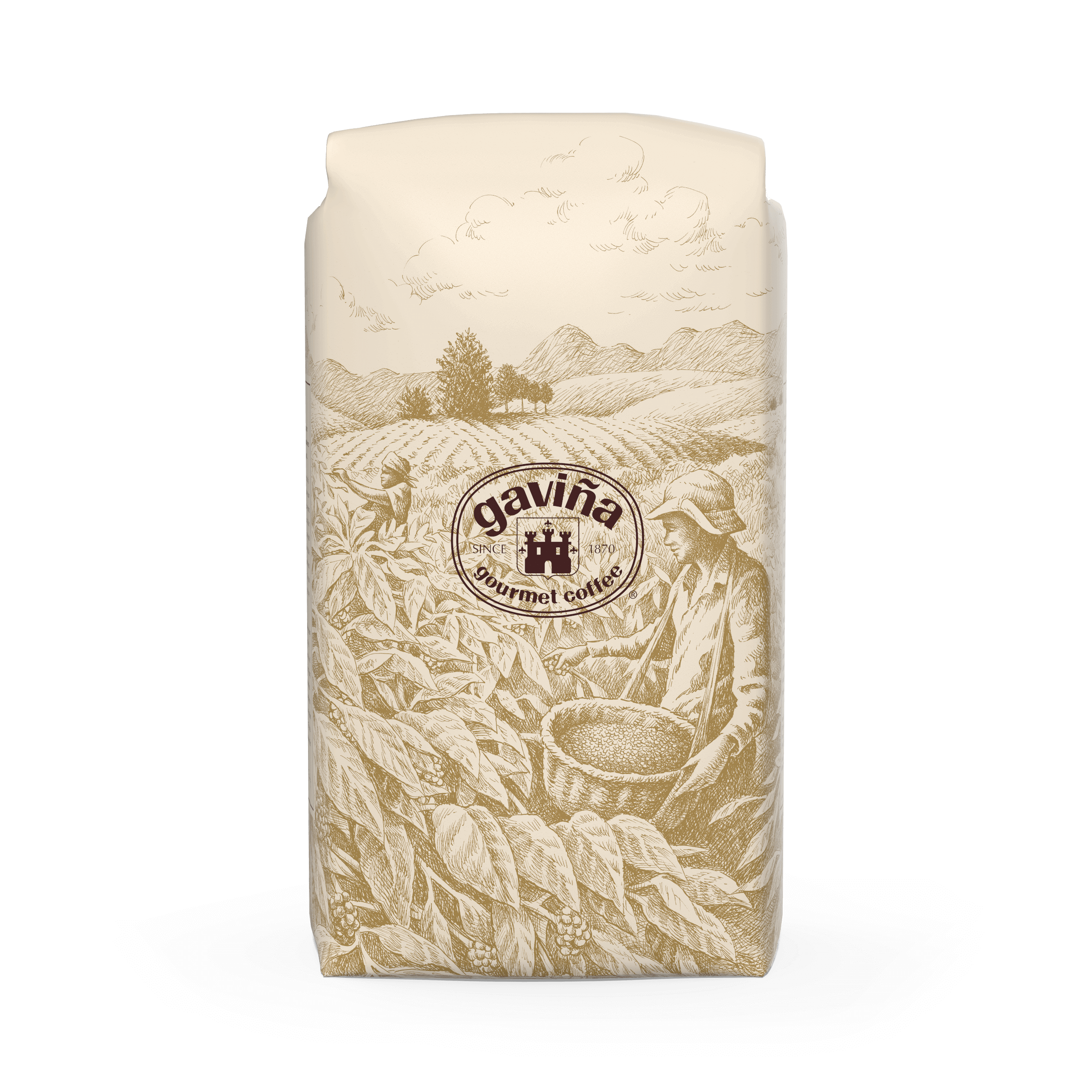 Hawaiian Hazelnut 5 Lb. Whole Bean Coffee Bag – Don Francisco's Coffee